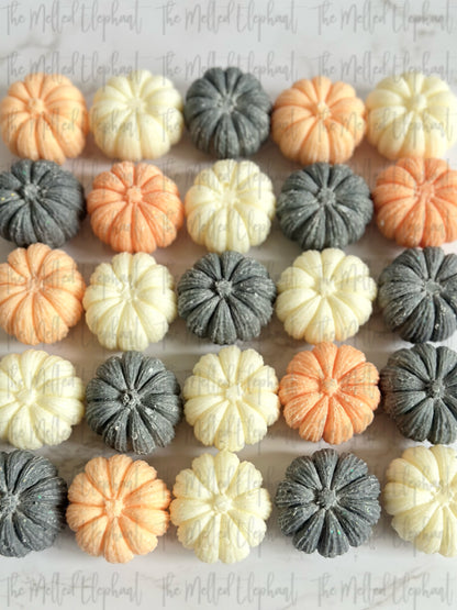 Mini Pumpkin Wax Melts (WS)